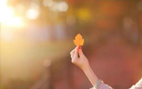 爱德华|人到50，如果不在四个方面“心狠”一点，难免晚境凄凉