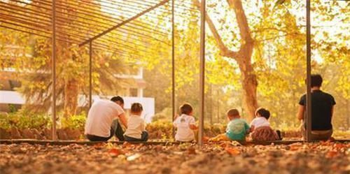 变聪明|哈佛研究发现:孩子一生中有3次机会“变聪明”,家长别轻易错过