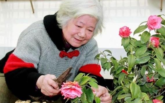 人未老，先痴呆？若能坚持用好3个方法，老年痴呆不敢扰！