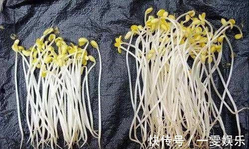 豆芽|33岁女子肝癌离世,生前从不喝酒,偏爱吃一种“毒物”