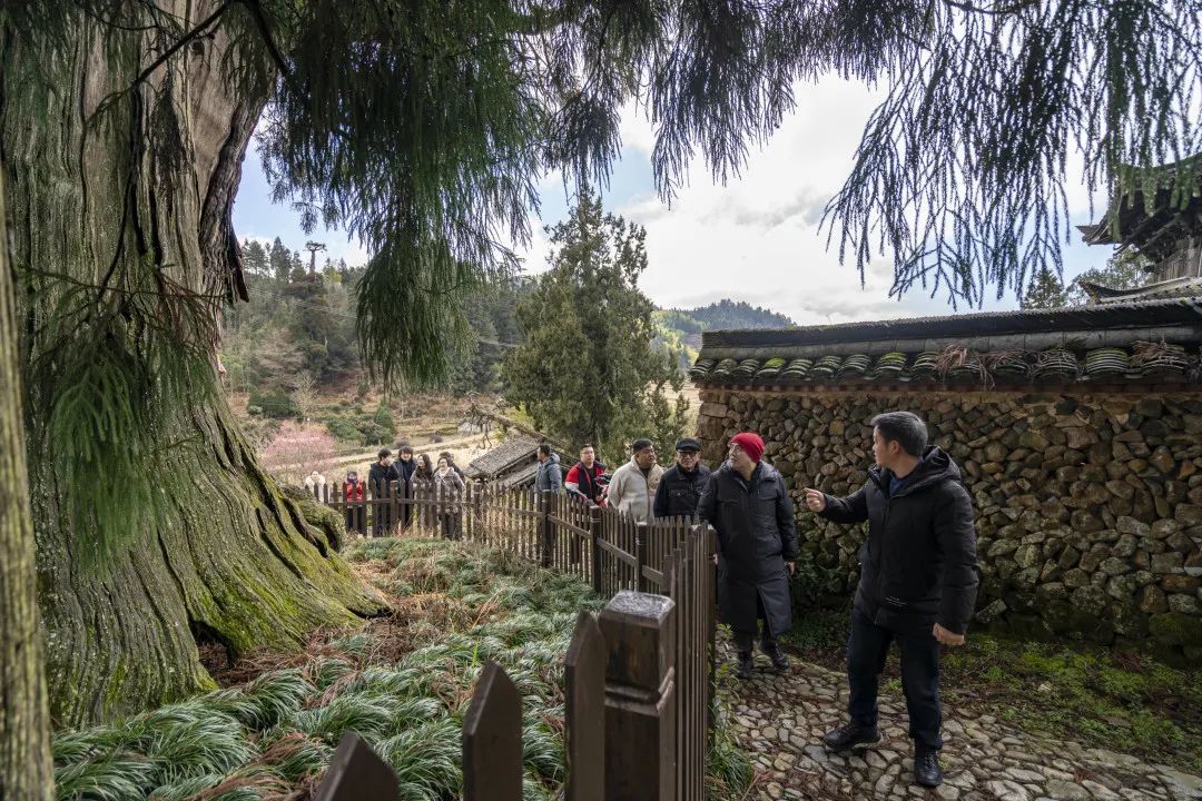 我和我的祖国|国际著名钢琴家孔祥东来景，感受畲乡山水、人文情怀