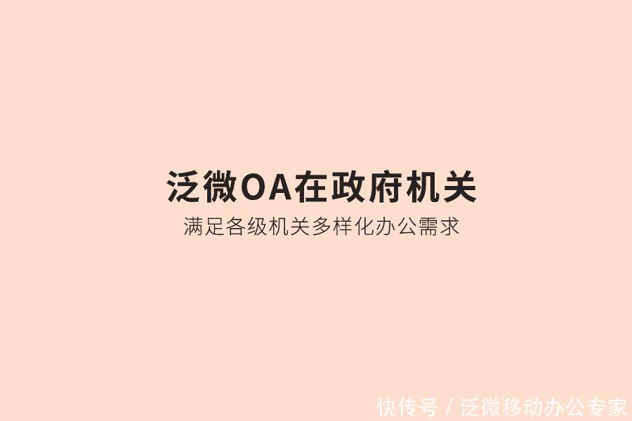 电子产业地|泛微政务OA系统低代码构建应用，支撑所有政务管理需求