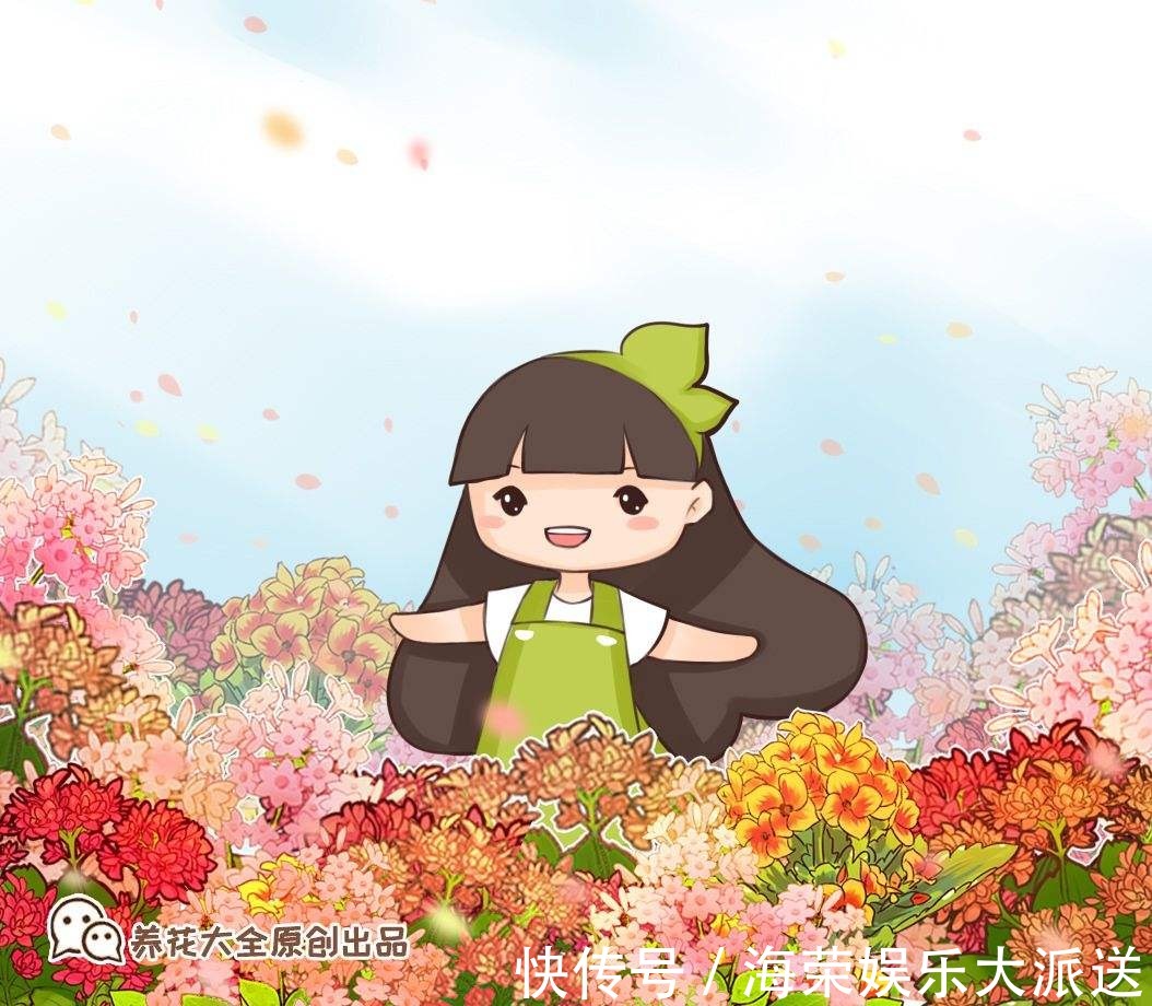 小花盆才能养好的花,种在大盆里太危险,一不小心就烂根