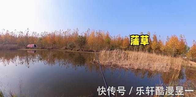 什么水草才是冬季钓鲫鱼的好位置老钓友经验,这3种水草很藏鱼