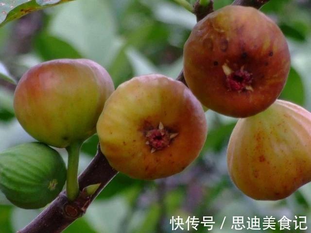 女人|女人别太节俭,平时敞开吃4物,或助你补充黄体酮,预防增生