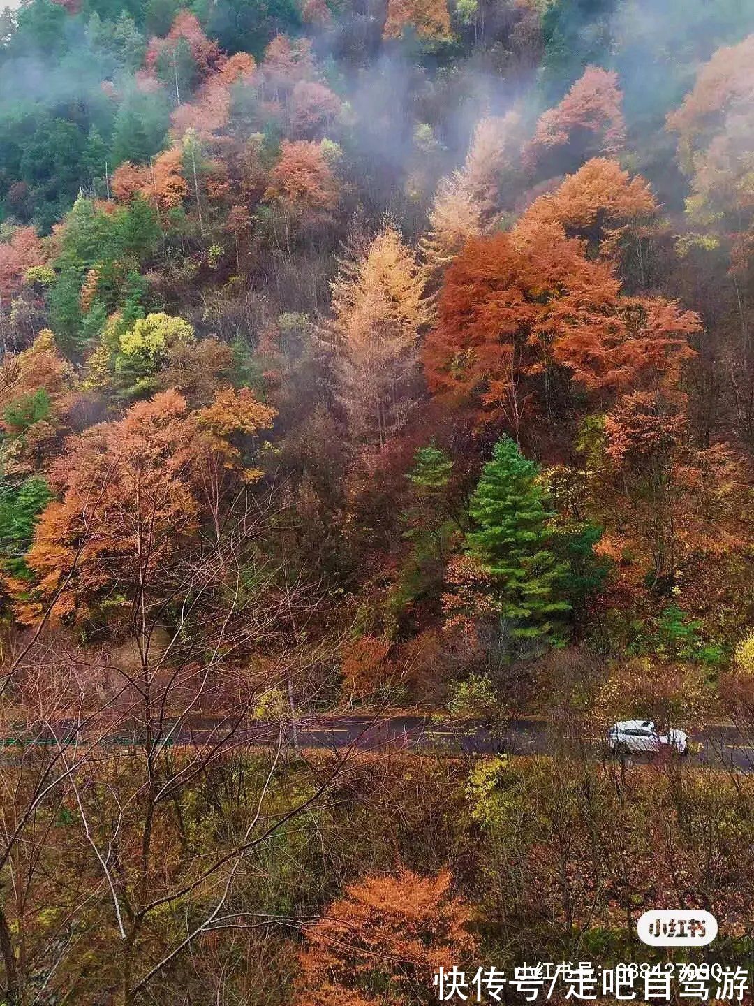 秦岭|美食不输西安！秦岭脚下这座宝藏小城，美到隔壁城市都吃醋