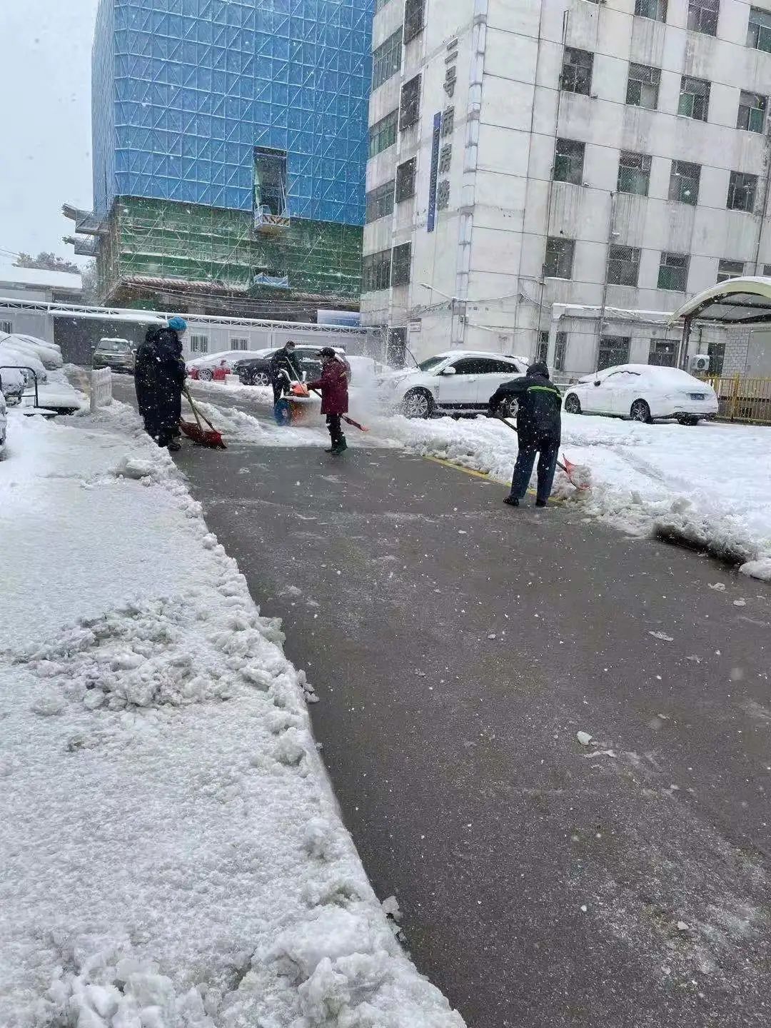 附属省立医院|不畏严寒除积雪 山东第一医科大学附属省立医院（山东省立医院）全力以赴确保就诊患者安全