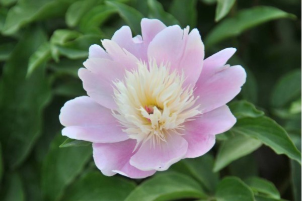 福运|发大财很简单!只需戒掉4个毛病,你将财运大开、福运升天!