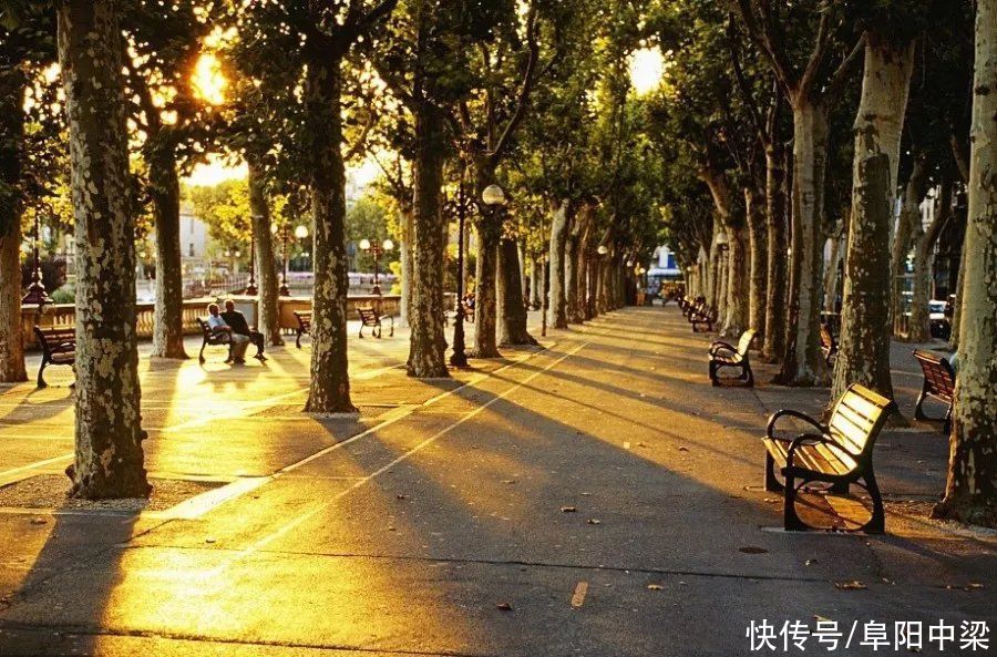 临泉壹号院 公园里|中梁控股 | 滨河景观公园