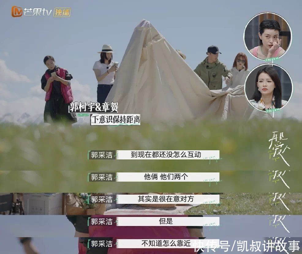 紅櫻桃|離婚真人秀《再見愛人》一夜爆火：明星離婚的真相，藏不住了