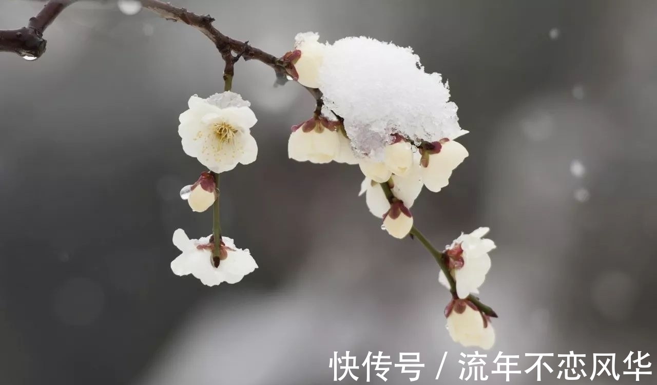 武则天#最美唐朝五言绝句,句句有神韵有境界,难定谁排第一,第五首惊艳