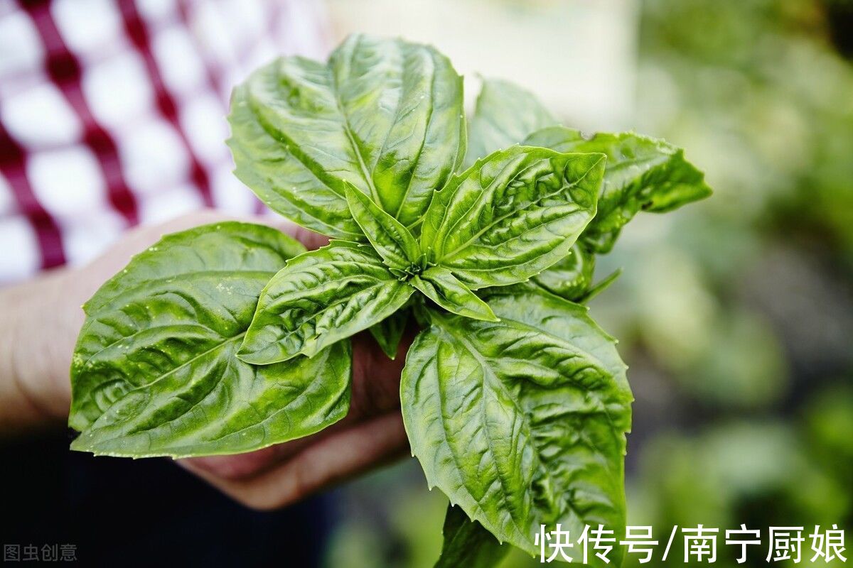 不管炖啥肉，加这5种“料”就对了，不仅去腥增香，还能散寒养胃