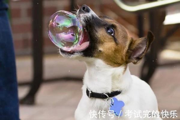 |47张“倒霉又搞笑”的图片,这些人上辈子是毁灭了银河系吗?