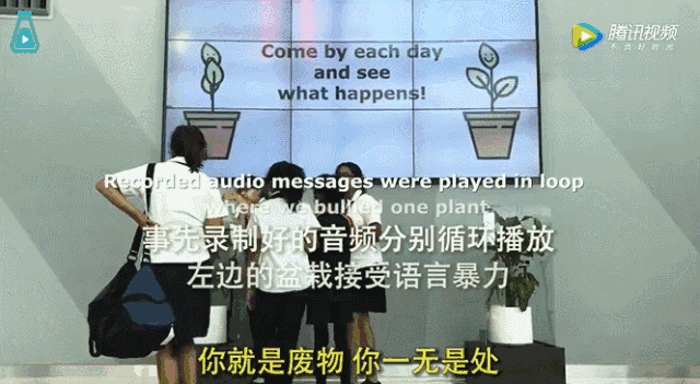 表格|废掉一个孩子，就不停说他、说他、说他……