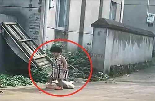 孩子|女儿暑假到姥姥家,宝妈去接时差点认不出,小公主竟成了“村霸”