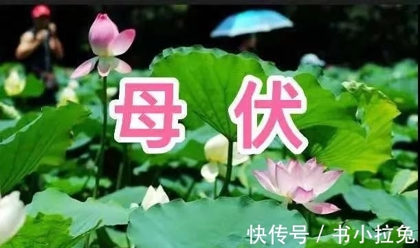 公母|三伏天分公母,2021年三伏天是母伏是公伏?答案来了