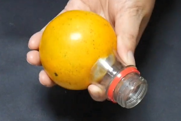 在橙子上粘1个塑料瓶口,解决了家家户户的烦恼,学会受用一生!