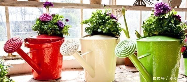 养花浇水容易“阴阳水”,教你3个小技巧,一次就浇透让花喝个够
