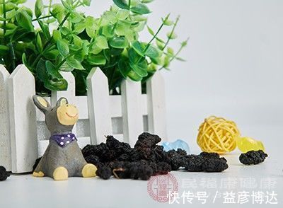 补血|桑葚的功效 常吃这种水果能够为身体补血