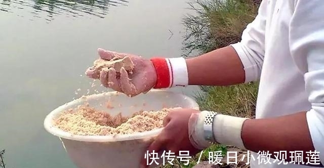 鱼儿|夏季夜钓时，这三个找鱼技巧要学会，诱鱼省时又省力