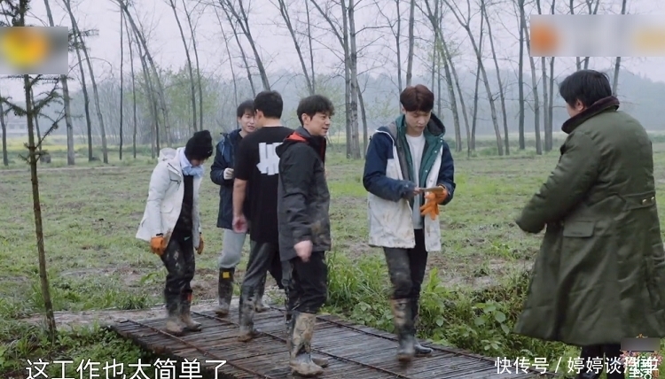 节目|《向往5》最懒嘉宾又来了,在节目种树种到“吐”,脾气都上来了