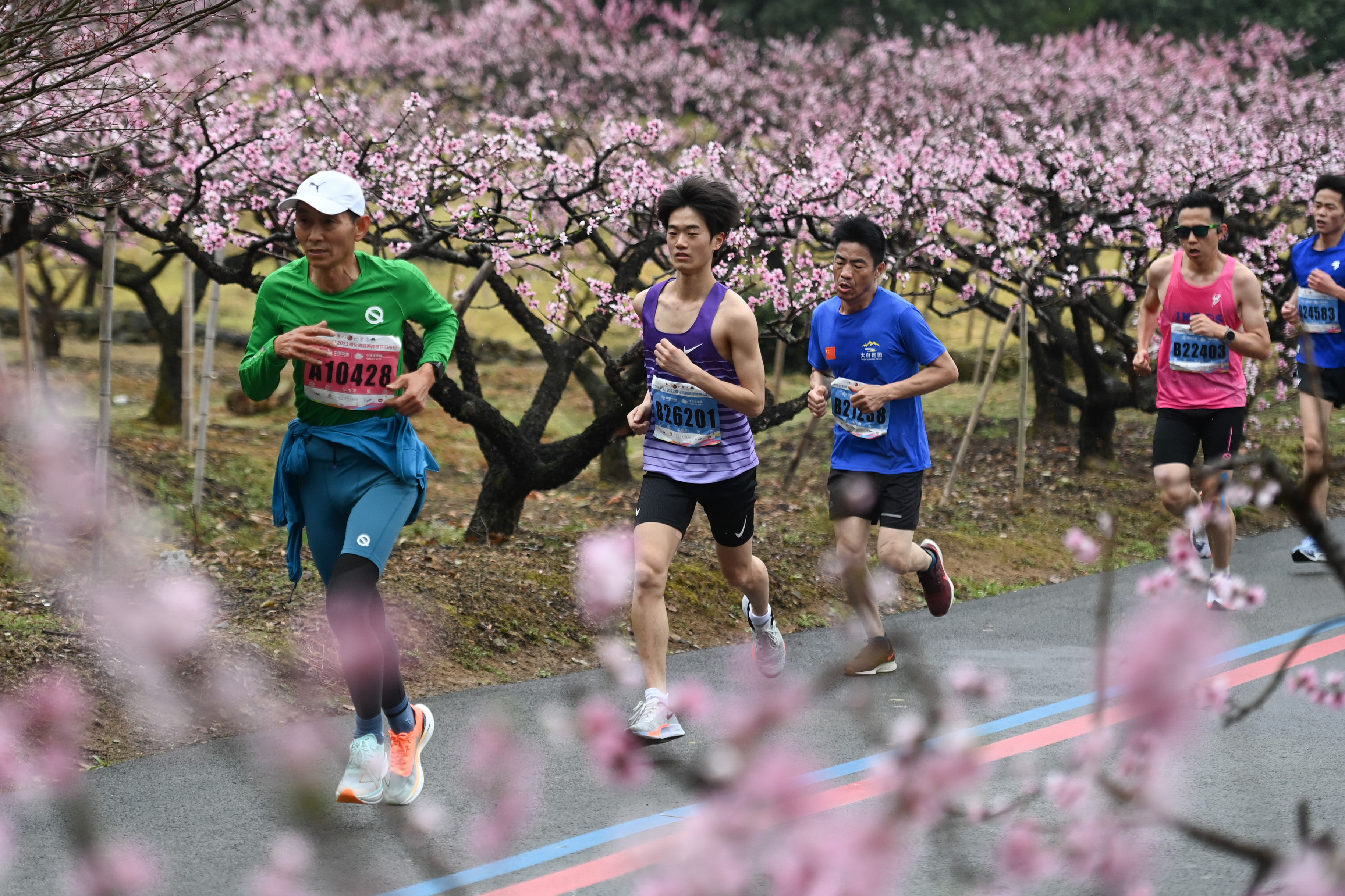 田径——2023奉化海峡两岸桃花马拉松赛在浙江宁波举行