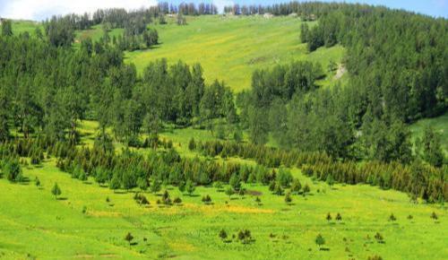 到底|美专家:中国人太天真,花费大量资金与力气去治沙,到底值不值?
