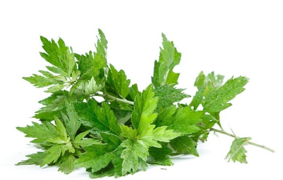 吃法|68种野菜图片，教你认识不同的野菜和吃法，你想要的野菜这里都有