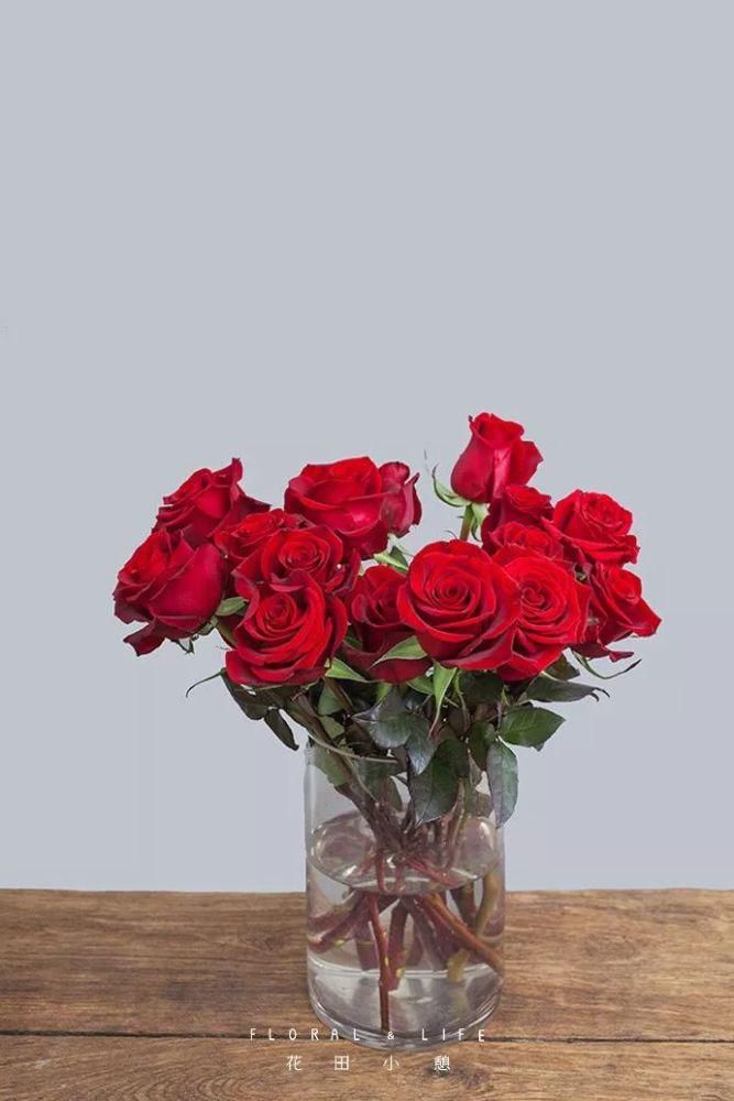 10款春节必备花材清单，去花店就买这些花！