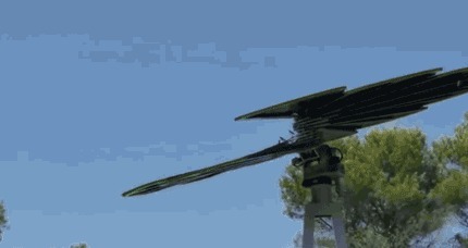 现在庭院不流行种菜了!这样“打造”,不比私人别墅效果差,超美