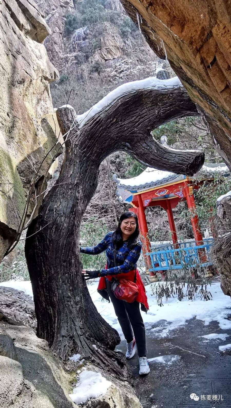 雪真|正月下江南（3）——游雪后浙北大峡谷