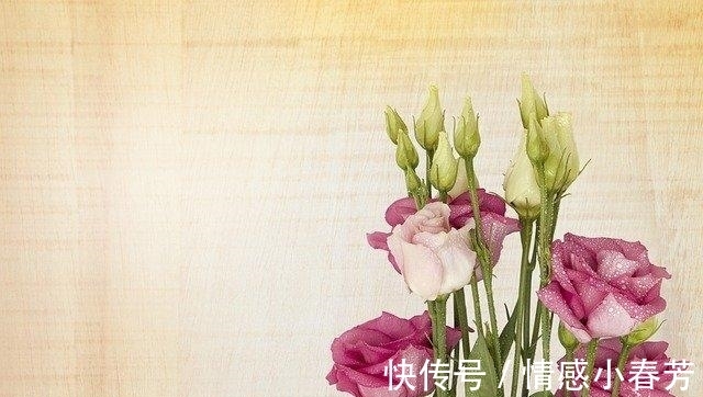 星座|15天后，桃花逆袭，两情相依，3星座再续前缘，携手恩爱一生