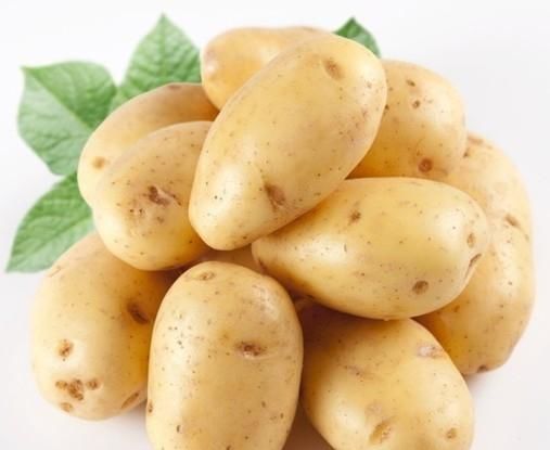 胃病|有胃病不用怕！此兩種食物是天然“胃藥”，胃舒服了，吃嘛嘛香