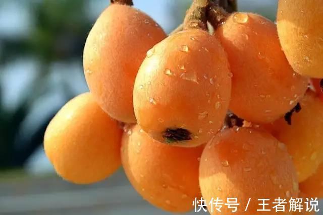 长寿|人到中年想长寿,可以坚持吃三种食物,补充营养,好处多多