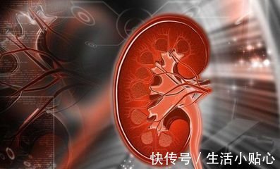 咳嗽|肺肾相辅相成母病及子,若是肺肾不好,则会气虚肺弱咳嗽不止