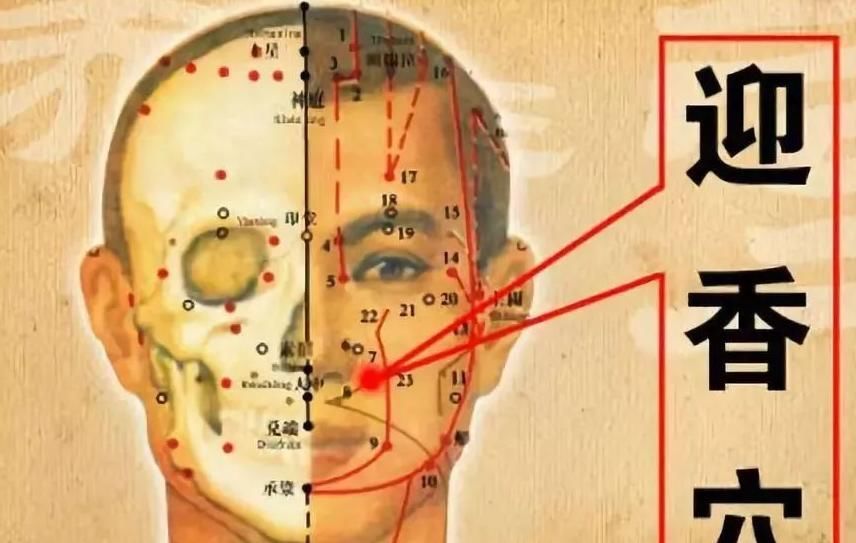 中医|中医长寿秘诀:抓住晨起五分钟,通七窍、养五脏、祛百病!