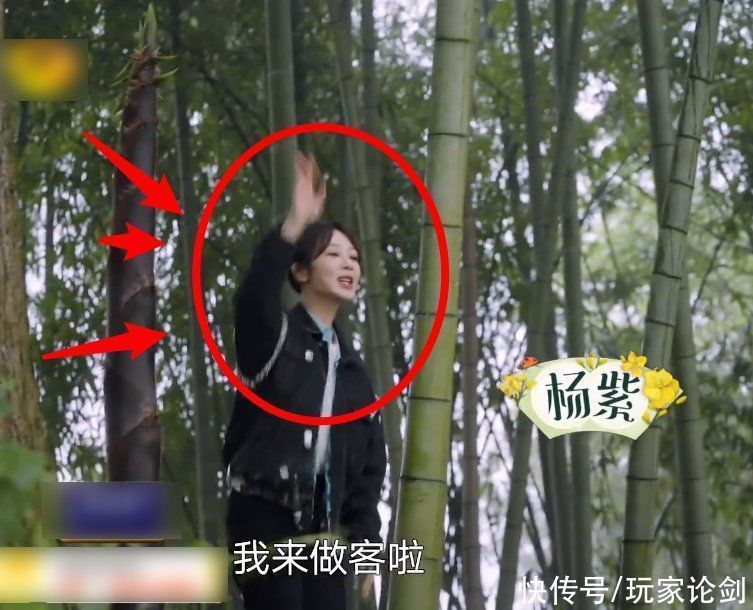 刘晓邑|杨紫直言是冲着晚饭来录节目的，听到黄磊的回应，整个人都不好了
