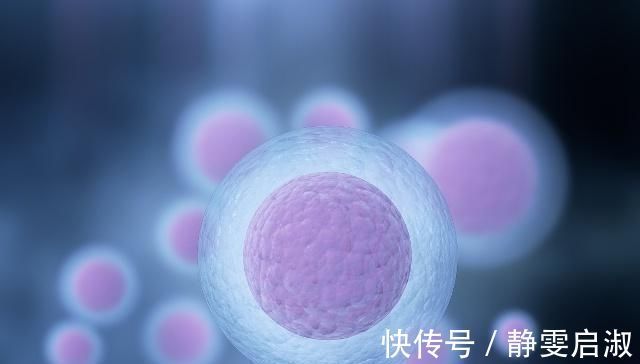 生育年龄|备孕须知,女性做好这几点,也许提高卵子颜值,早日迎接好孕