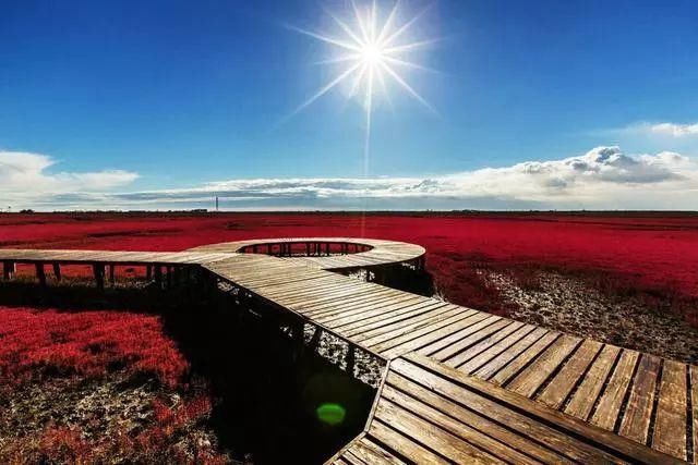 中国最美六大沼泽湿地,养在深闺无人识,去过的都惊叹不已