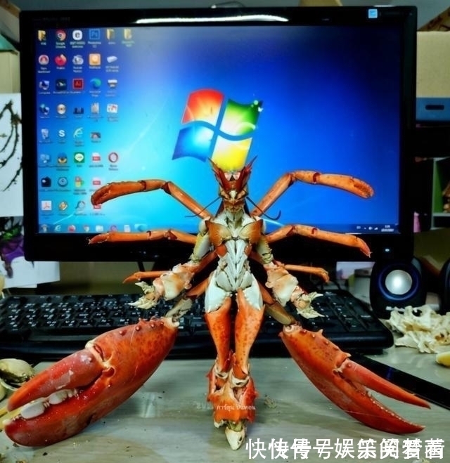 龙虾|吃剩的龙虾壳拼成手办,感觉有点不可思议!真是没谁了