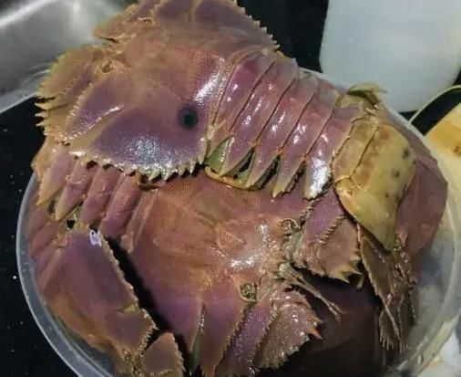  没想到|收到一箱虾，打开后我愣住了，看着不敢下嘴，却没想到如此好吃