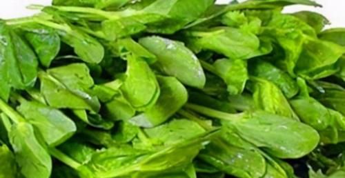 碱性食物|老年人60岁后长寿要先会吃,多吃3种食物,延缓衰老,提高免疫力