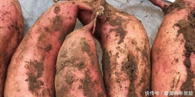 宝宝|怀孕后,4种食物要忌嘴,对你和胎宝宝的健康都没好处!