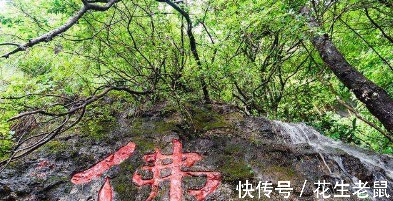 圆寂&他与六祖惠能4问4答，终成为一代宗师，圆寂时1000只大雁护驾西归