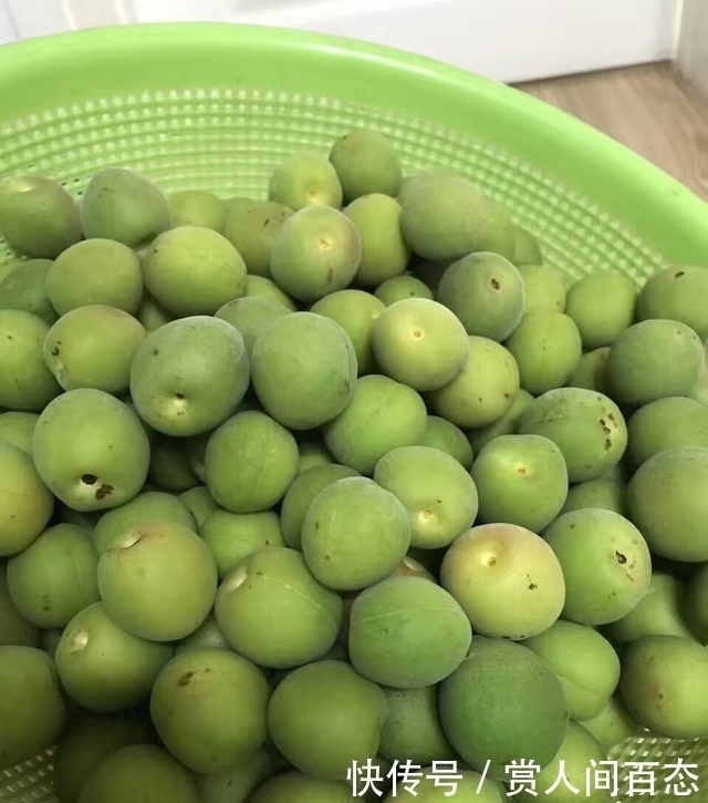 看准|自制药酒有禁忌,这些注意事项一个都不能少,看准了我做的梅子酒