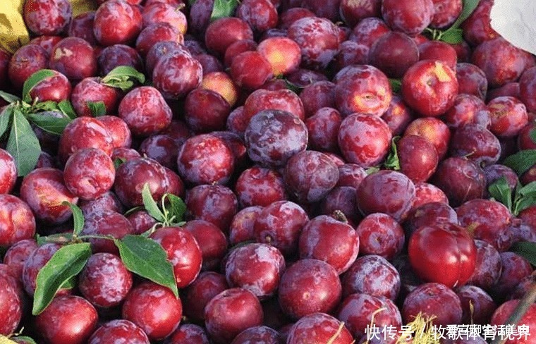 营养|清明过后,这5种水果要多吃,天然营养口感好,个个新鲜正当季