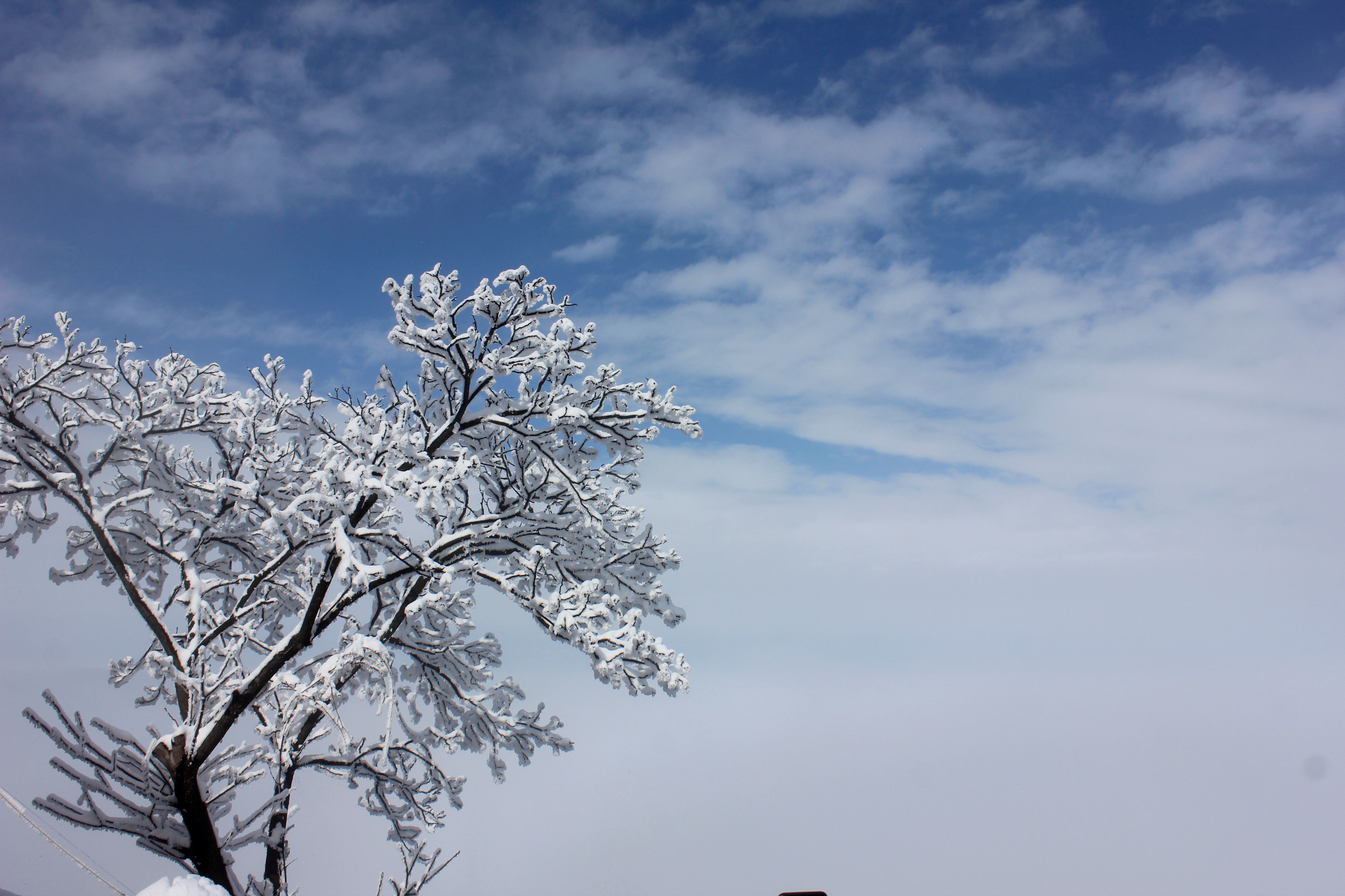 征集|【年末福利征集】雪后南五台幸遇云海