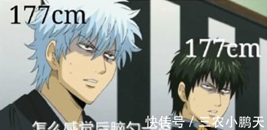 身高160cm的动漫人物 身高160cm的动漫人物