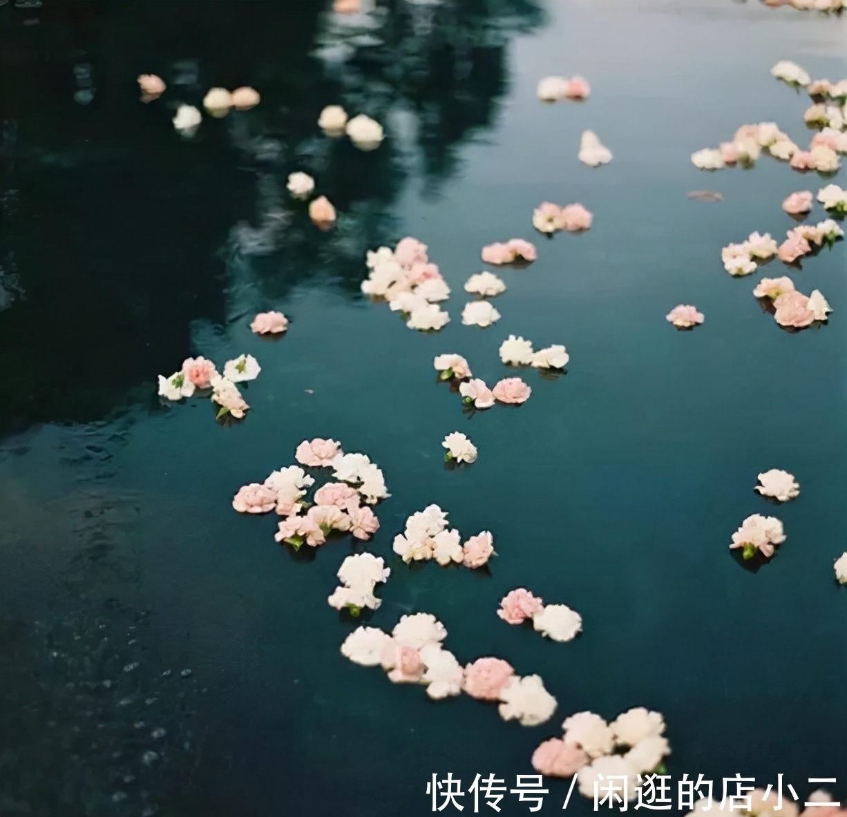 花弄影@张先最喜欢的一首天仙子,一句“云破月来花弄影”被后世传诵千古