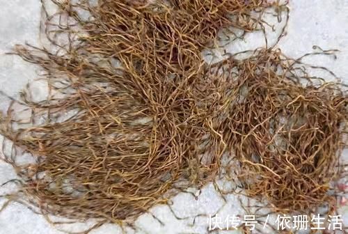 萝卜|这4种蔬菜晒干后,比新鲜的更好吃,生炒炖肉都行,放1年不会坏